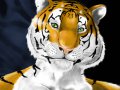 tiger_painter2.jpg